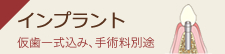 インプラント 仮歯一式込み、手術料別途